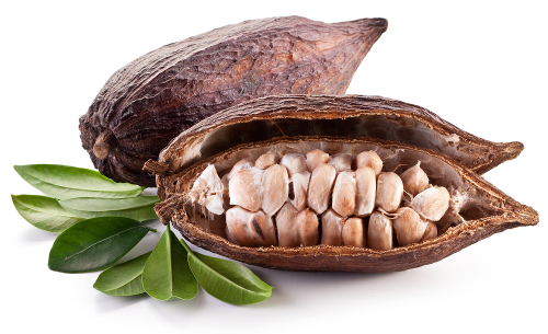 Cacao beans